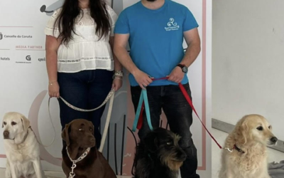 Huellas que guían: Terapia ocupacional asistida con perros